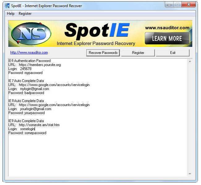SpotIE Password Recovery Screenshot